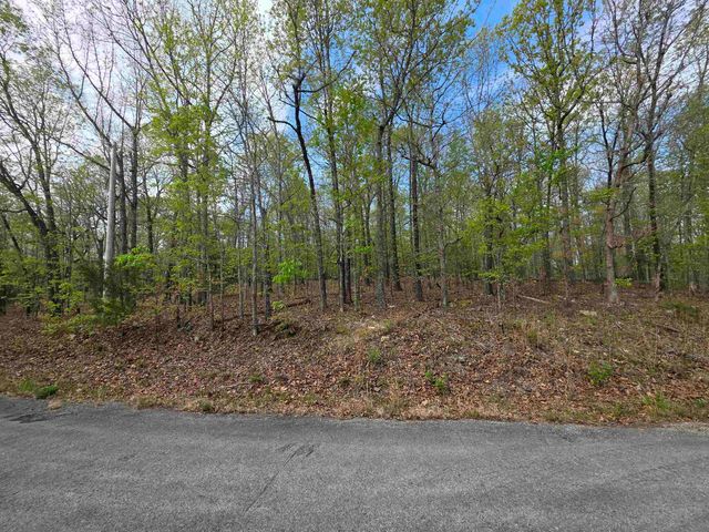 L-16 B-8 Talahi Drive, Cherokee Village, AR 72529