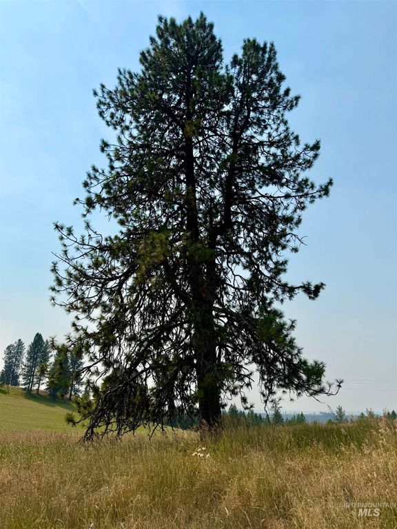 1003 Beaverslide Road, Kamiah, ID 83536 photo 4