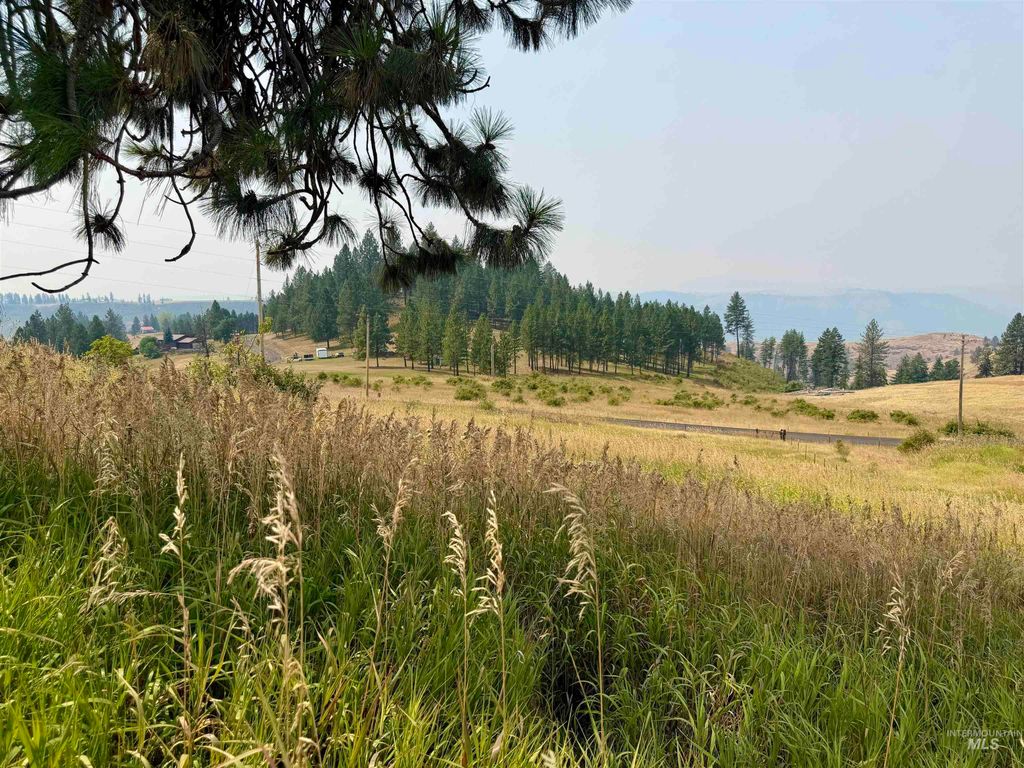 1003 Beaverslide Road, Kamiah, ID 83536 photo 5