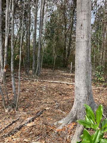 0 Graves Keys Rd., Bassfield, MS 39421