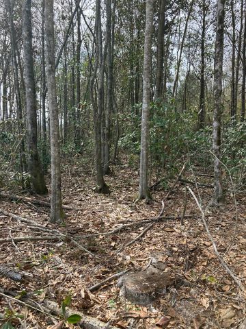 0 Graves Keys Rd., Bassfield, MS 39421