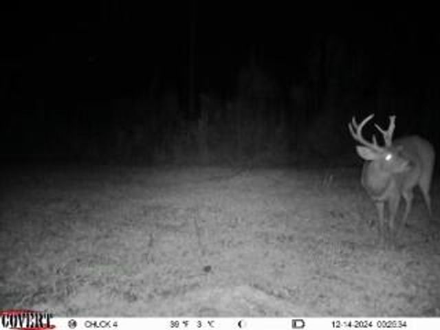 0 Graves Keys Rd., Bassfield, MS 39421
