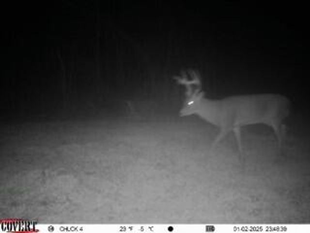 0 Graves Keys Rd., Bassfield, MS 39421