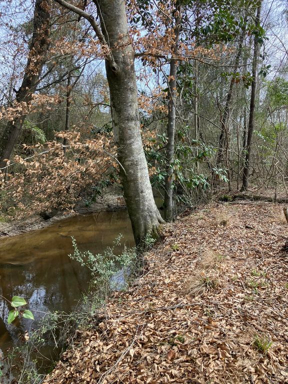 0 Graves Keys Rd., Bassfield, MS 39421