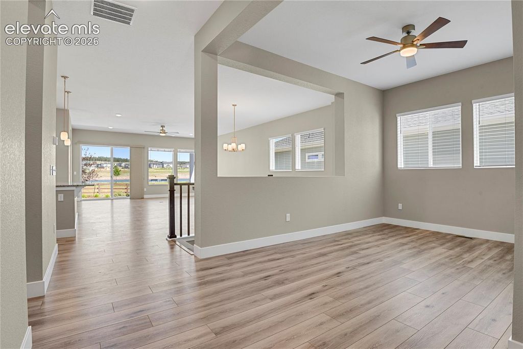6524 Courtland Place, Colorado Springs, CO 80924 — photo 3
