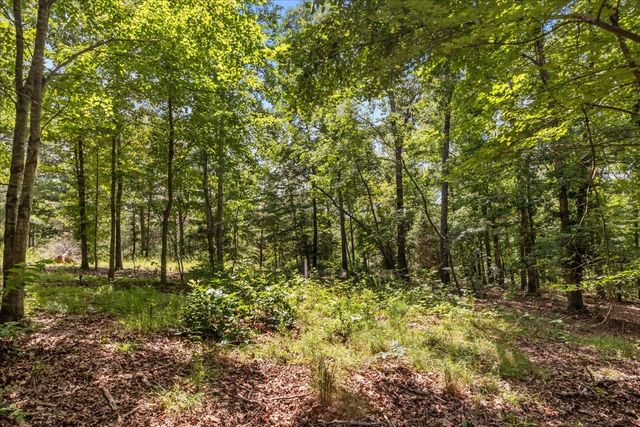 2035 Skyview Dr, Centerville, TN 37033