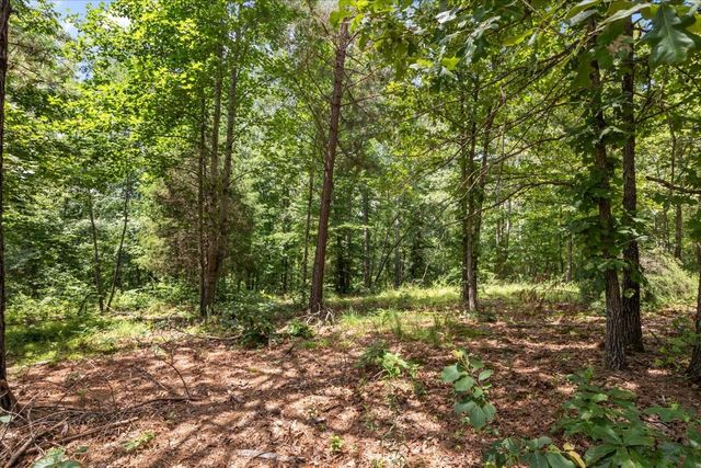 2035 Skyview Dr, Centerville, TN 37033