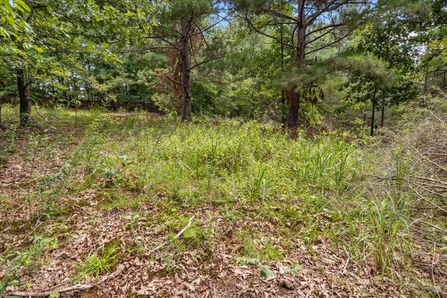 2035 Skyview Dr, Centerville, TN 37033
