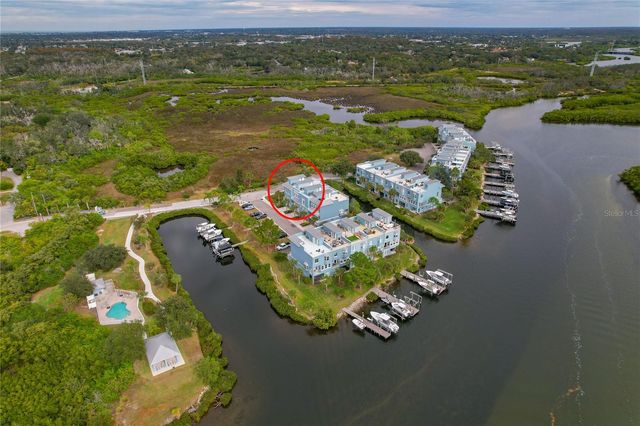 1197 FLYING FISH LANE, Tarpon Springs, FL 34689