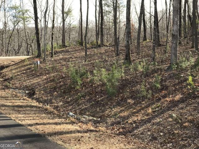 179 Trailwood Drive, Ellijay, GA 30536