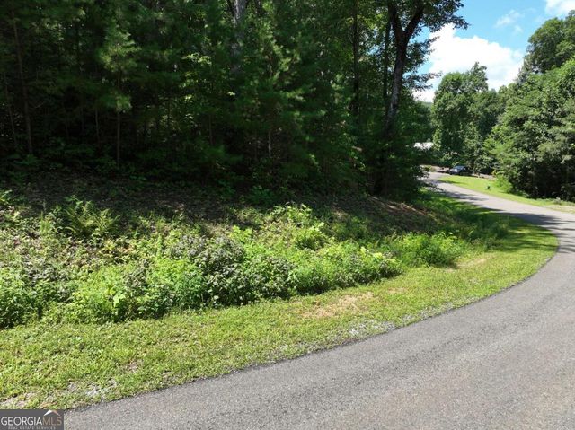 179 Trailwood Drive, Ellijay, GA 30536