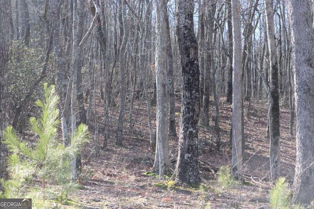 179 Trailwood Drive, Ellijay, GA 30536