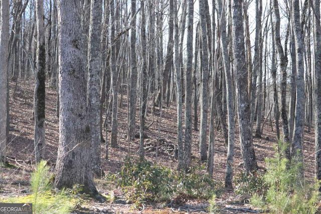 179 Trailwood Drive, Ellijay, GA 30536