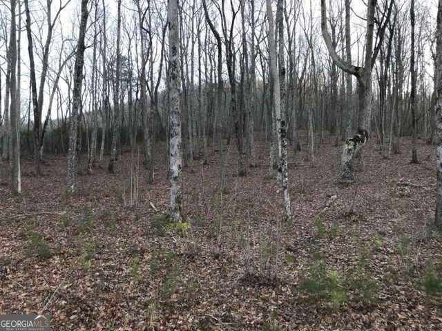179 Trailwood Drive, Ellijay, GA 30536