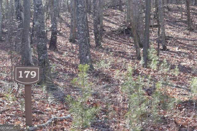 179 Trailwood Drive, Ellijay, GA 30536
