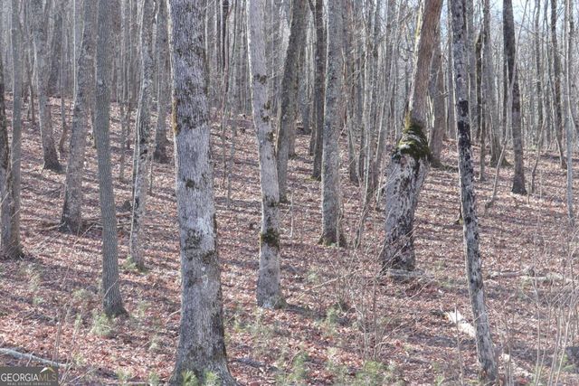 179 Trailwood Drive, Ellijay, GA 30536