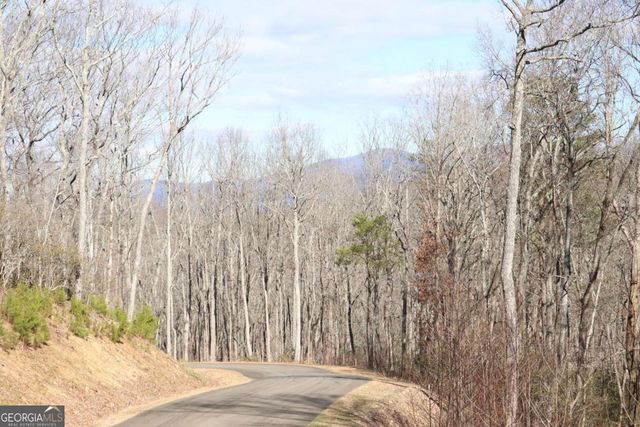 179 Trailwood Drive, Ellijay, GA 30536