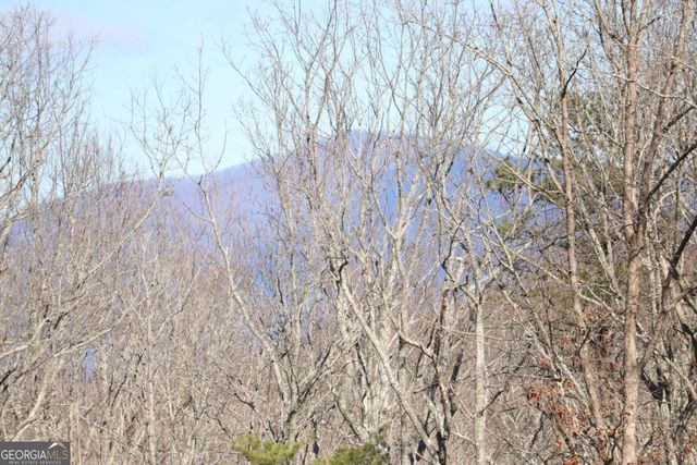 179 Trailwood Drive, Ellijay, GA 30536