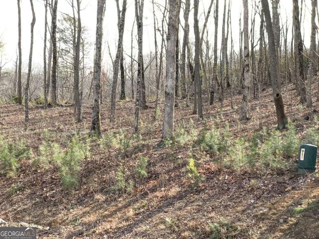 179 Trailwood Drive, Ellijay, GA 30536