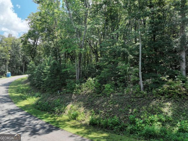 179 Trailwood Drive, Ellijay, GA 30536