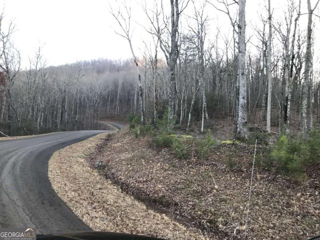 179 Trailwood Drive, Ellijay, GA 30536