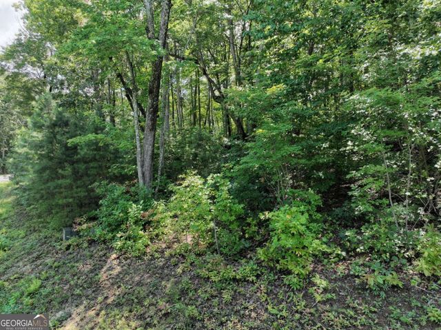 179 Trailwood Drive, Ellijay, GA 30536