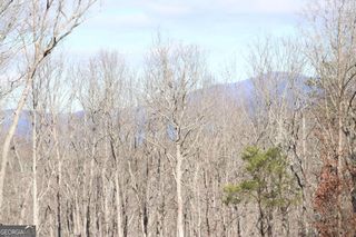 179 Trailwood Drive, Ellijay, GA 30536