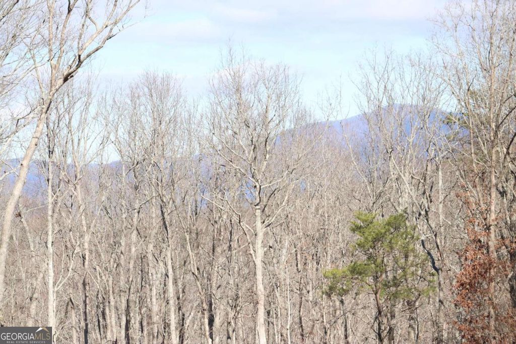 179 Trailwood Drive, Ellijay, GA 30536