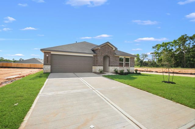 8902 Phoebe Bend Drive, Montgomery, TX 77316