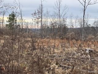 189 Madison CR 410, Fredericktown, MO 63645