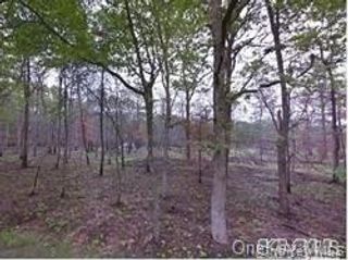 V/L Wading River Road, Manorville, NY 11949