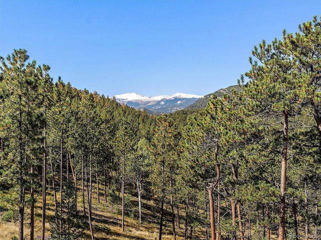 34550 Upper Bear Creek Rd, Evergreen, CO 80439