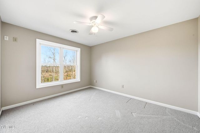 389 Worley Vance Road, Bluff City, TN 37618