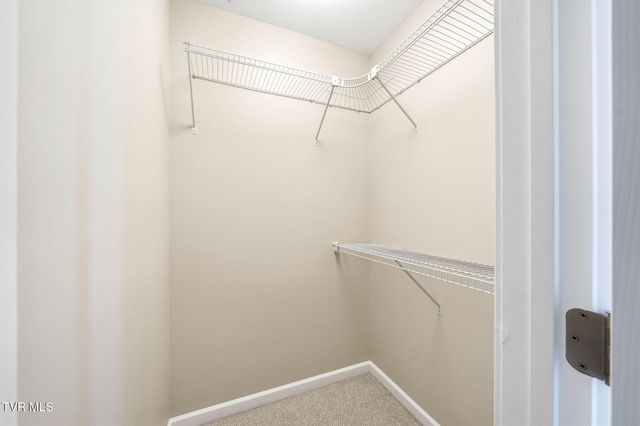 389 Worley Vance Road, Bluff City, TN 37618