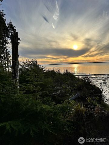 47 Willapa Sands Lane, South Bend, WA 98586
