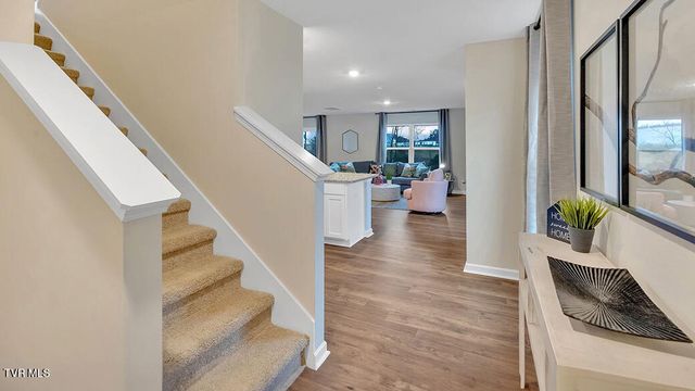 54 Ollie Street, Johnson City, TN 37615