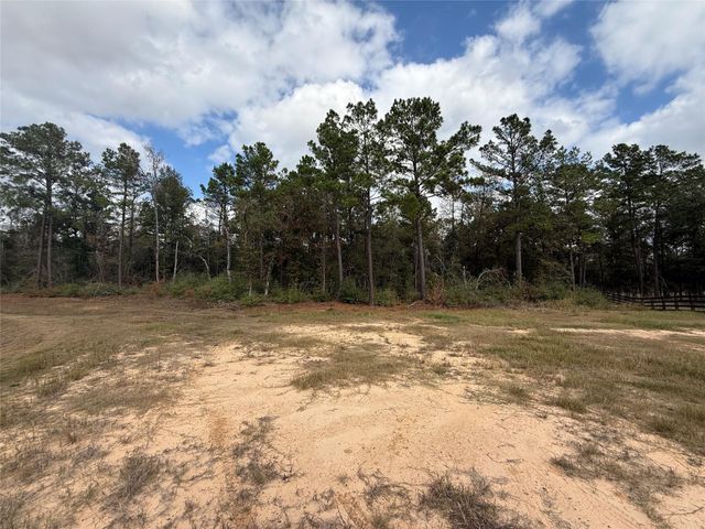 23705 Birch Grove Road, Montgomery, TX 77316