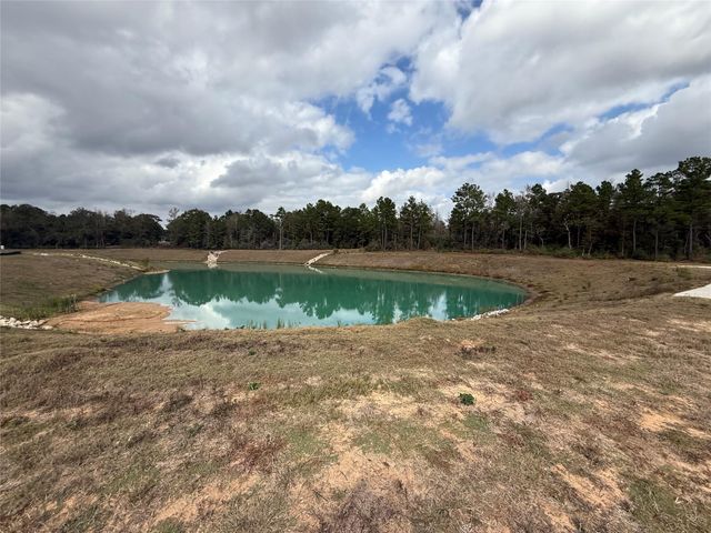 23705 Birch Grove Road, Montgomery, TX 77316