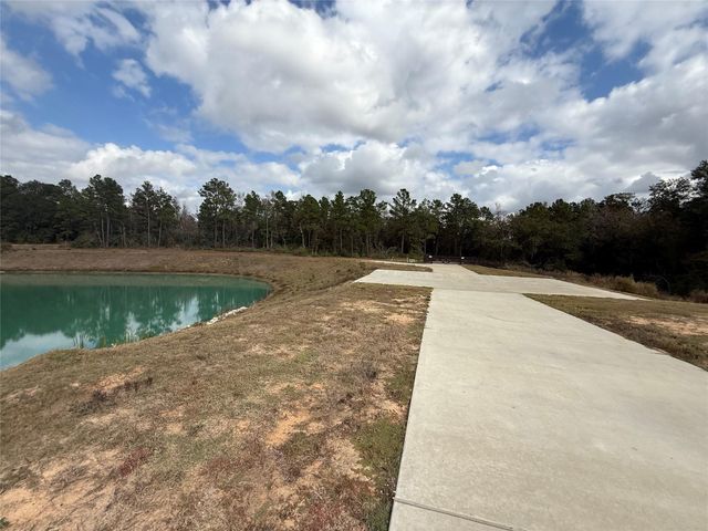 23705 Birch Grove Road, Montgomery, TX 77316