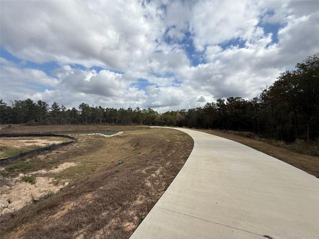 23705 Birch Grove Road, Montgomery, TX 77316