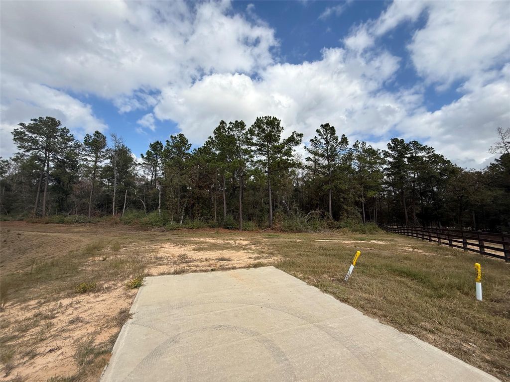 23705 Birch Grove Road, Montgomery, TX 77316