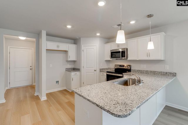 3913 Golden Crane Pass, Lexington, SC 29073