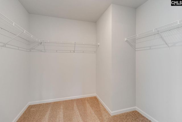 3913 Golden Crane Pass, Lexington, SC 29073