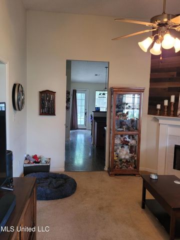 10578 Pecan View Drive Drive, Olive Branch, MS 38654