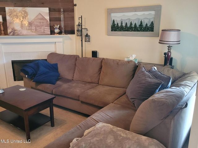10578 Pecan View Drive Drive, Olive Branch, MS 38654