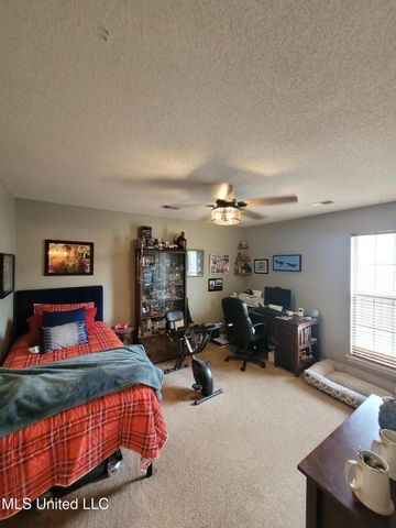 10578 Pecan View Drive Drive, Olive Branch, MS 38654