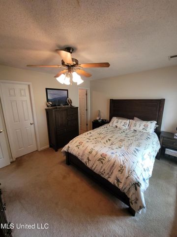 10578 Pecan View Drive Drive, Olive Branch, MS 38654