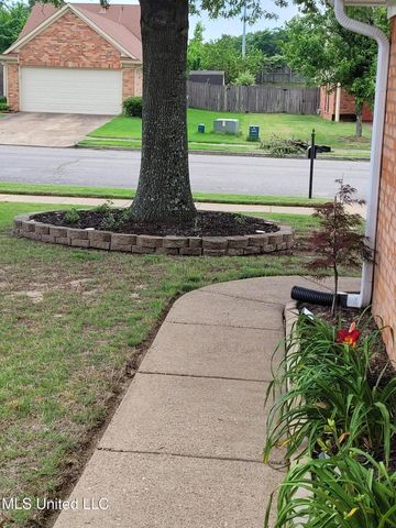 10578 Pecan View Drive Drive, Olive Branch, MS 38654