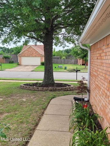 10578 Pecan View Drive Drive, Olive Branch, MS 38654