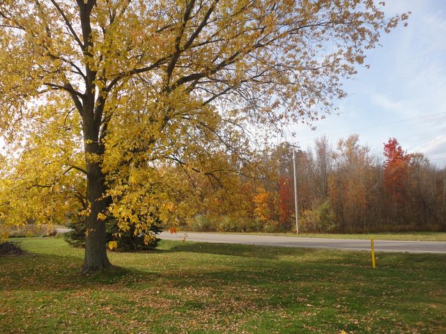 5994 136th Avenue, Manlius Twp, MI 49423